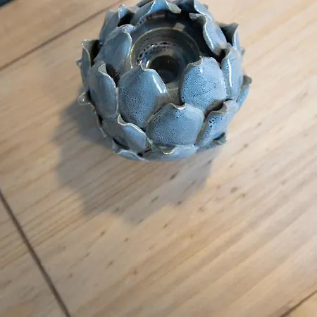 Апартаменты Pansion Artemis Mavrovouni (Laconia)