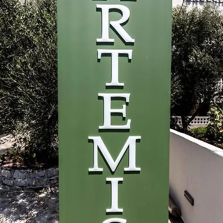 Pansion Artemis Μαυροβούνι