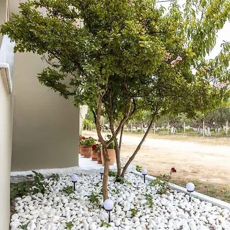 Pansion Artemis Apartment