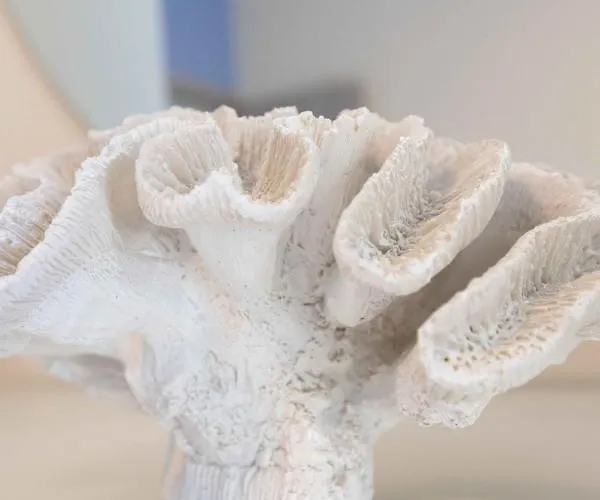 Apartmán Pansion Artemis *