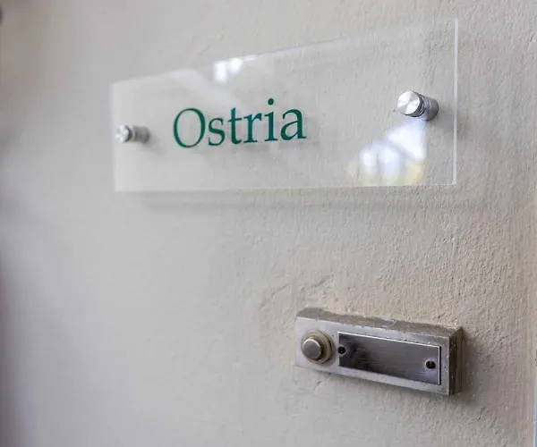 Pansion Artemis Mavrovoúnion